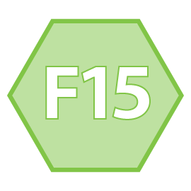 icona F15 principiante