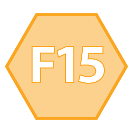 icona F15 intermedio